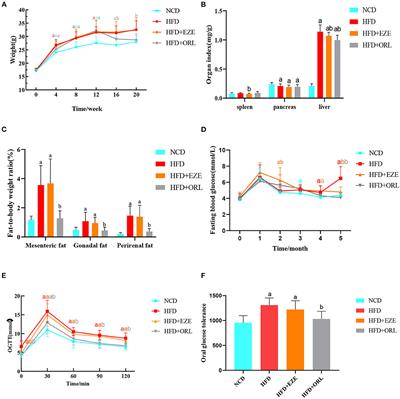 Orlistat and ezetimibe could differently alleviate the high-fat diet-induced obesity phenotype by modulating the gut microbiota